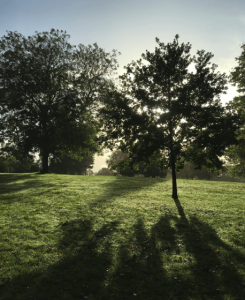 Council leasing Barnet