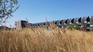 Investment properties Barking and Dagenham