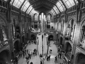 Natural History Museum - South Kensington