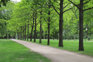 Eastbrookend Country Park, Romford