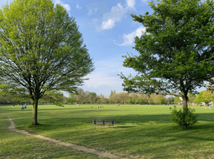 Wandsworth Common