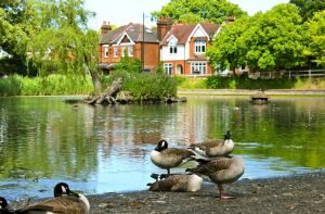 property investment in Bromley