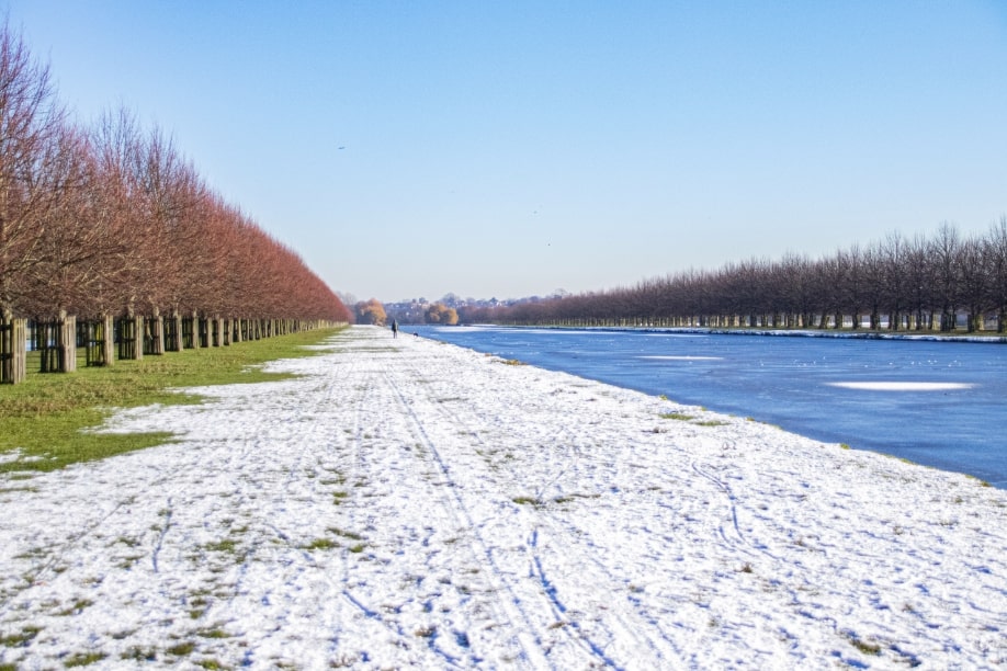 Lettings agent Richmond upon Thames Rare home for sale