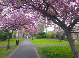 Estate management Lewisham